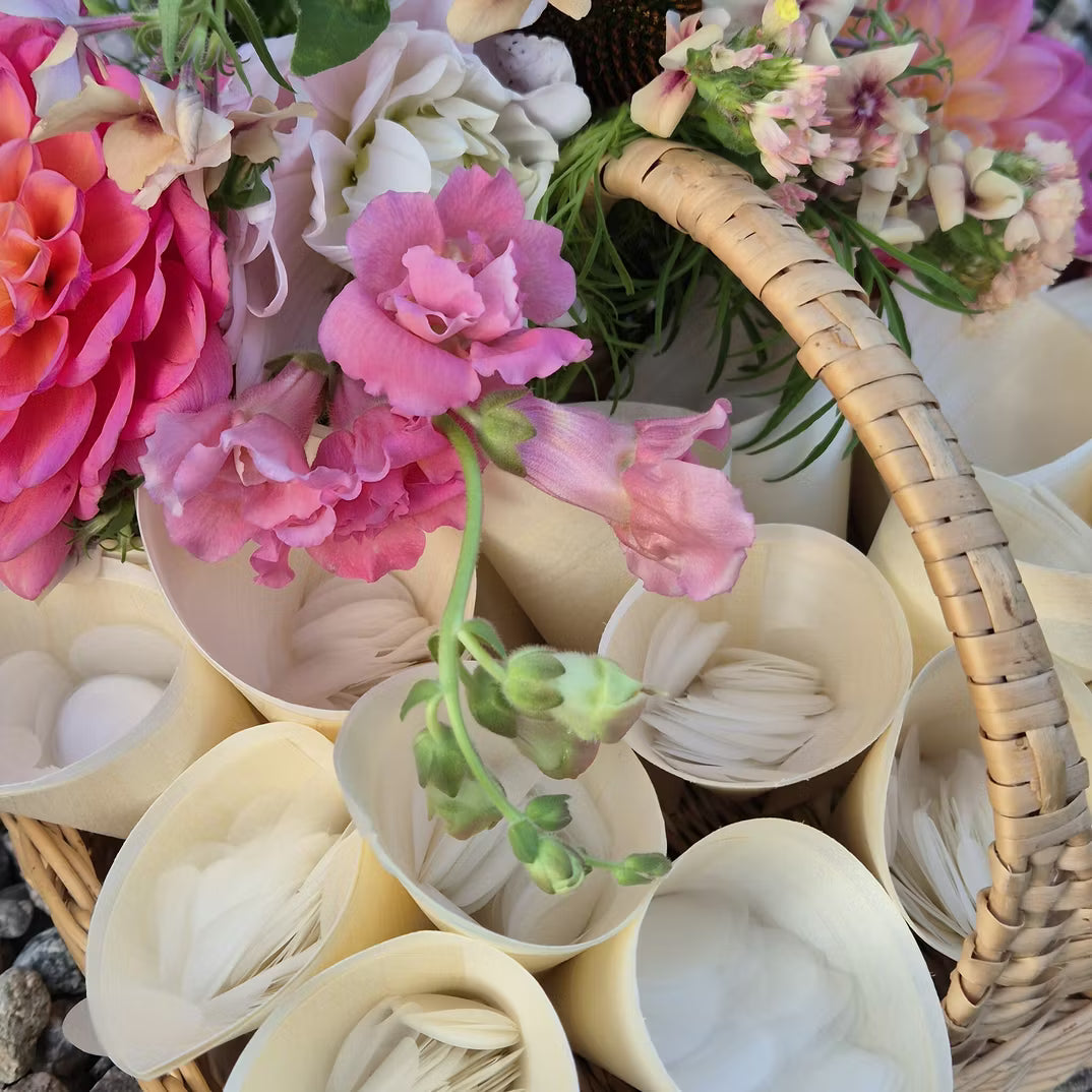 Strutar för bröllopskonfetti 25-pack