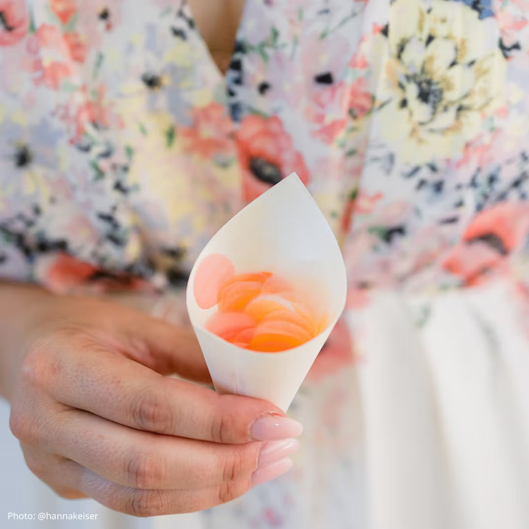 Strutar för bröllopskonfetti 25-pack