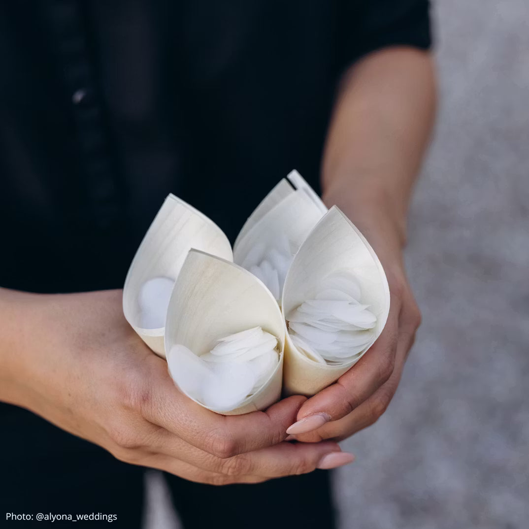 Strutar för bröllopskonfetti 25-pack